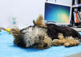 第一次做體檢的心情感慨說說 第一次做體檢后感言句子