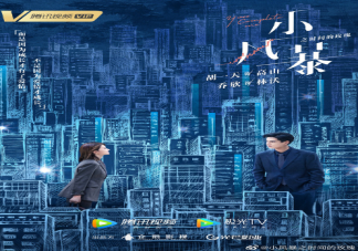 電視劇《小風(fēng)暴之時(shí)間的玫瑰》改編自什么小說 《小風(fēng)暴》講述了什么故事