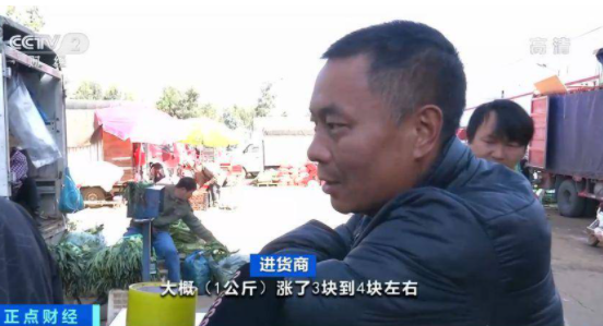 大蔥價格短短幾天翻幾倍是怎么回事 大蔥漲價了是什么原因 大蔥價格短短幾天翻幾倍是怎么回事 大蔥漲價了是什么原因