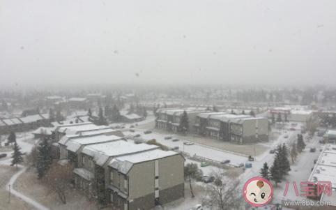 關于2020年第一場雪的朋友圈說說 2020年第一場雪朋友圈文案怎么發