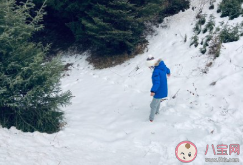 關于2020年第一場雪的朋友圈說說 2020年第一場雪朋友圈文案怎么發