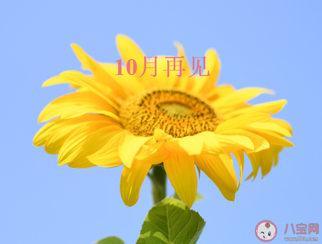 十月份快過去了的心情說說 十月份快過去了的心情句子