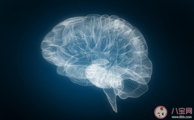 2020年世界卒中日主題是什么 預防腦卒中的自助措施