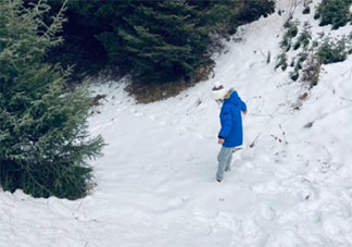 關于2020年第一場雪的朋友圈說說 2020年第一場雪朋友圈文案怎么發