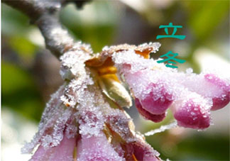 2020立冬節(jié)氣早安心語圖片句子 2020立冬節(jié)氣早安圖片文案說說