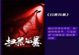 《掃黑風(fēng)暴》講述了什么故事 《掃黑風(fēng)暴》是根據(jù)真實(shí)故事改編的嗎