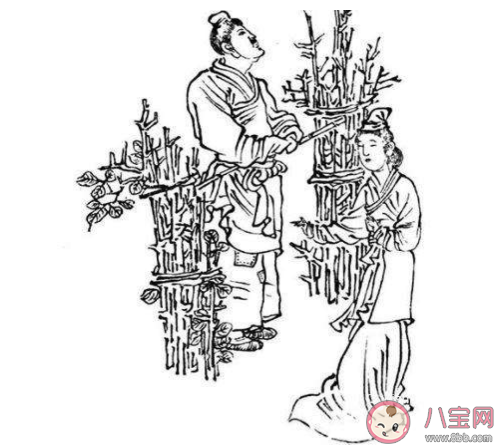 成語馬前潑水是用來比喻什么 最新螞蟻莊園10月29日小課堂答案