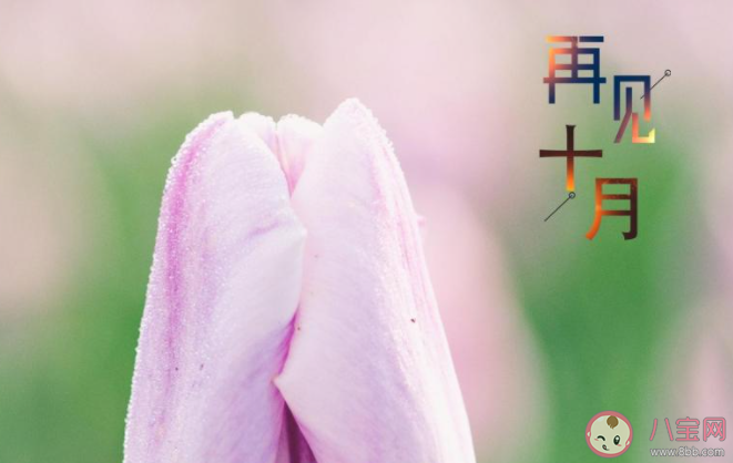 十月最后一天的心情文案句子帶圖2020 十月最后一天圖片心情說說2020 十月最后一天的心情文案句子帶圖2020 十月最后一天圖片心情說說2020