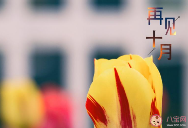 十月最后一天的心情文案句子帶圖2020 十月最后一天圖片心情說說2020 十月最后一天的心情文案句子帶圖2020 十月最后一天圖片心情說說2020