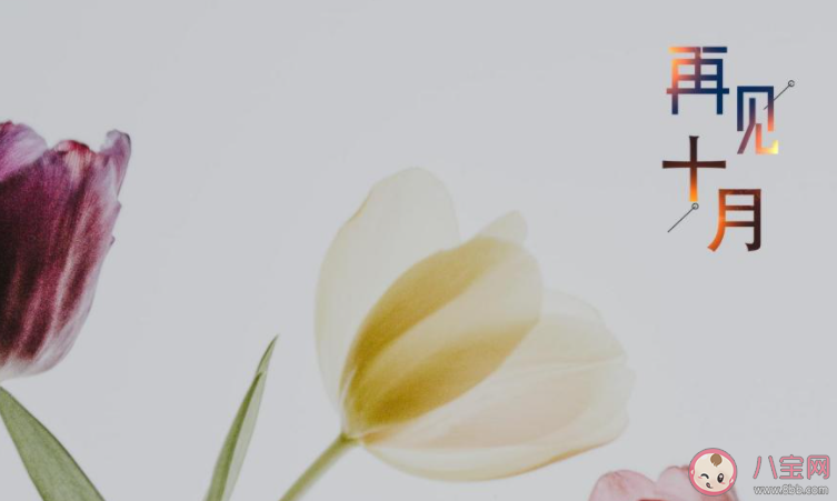 十月最后一天的心情文案句子帶圖2020 十月最后一天圖片心情說說2020 十月最后一天的心情文案句子帶圖2020 十月最后一天圖片心情說說2020