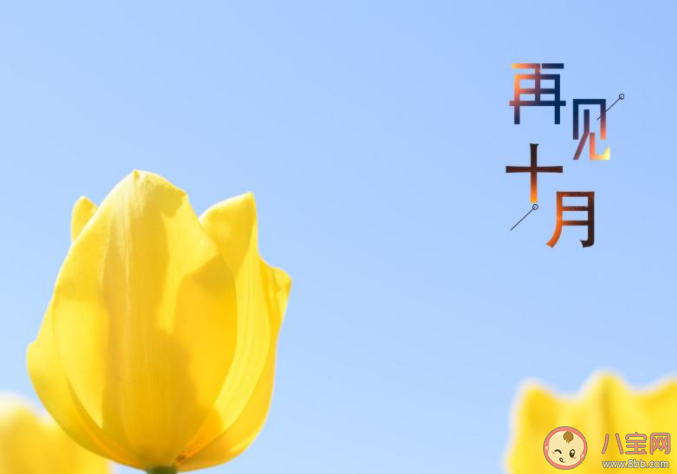 十月最后一天的心情文案句子帶圖2020 十月最后一天圖片心情說說2020 十月最后一天的心情文案句子帶圖2020 十月最后一天圖片心情說說2020