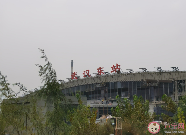 武漢東站什么時候通車 武漢東站有哪些站點線路