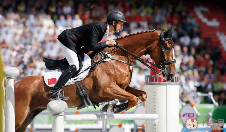 奧運(yùn)會(huì)上男女選手同場(chǎng)競(jìng)技的唯一大項(xiàng)比賽項(xiàng)目是什么 螞蟻莊園10月30日今日答案最新