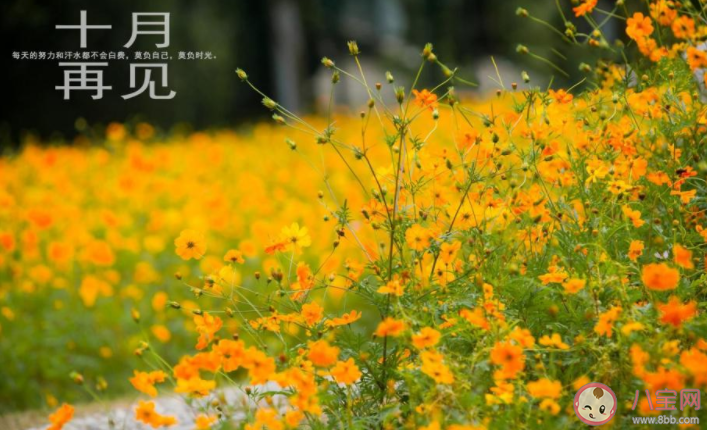 10月最后一天早安心語微信說說 10月最后一天早安的朋友圈句子