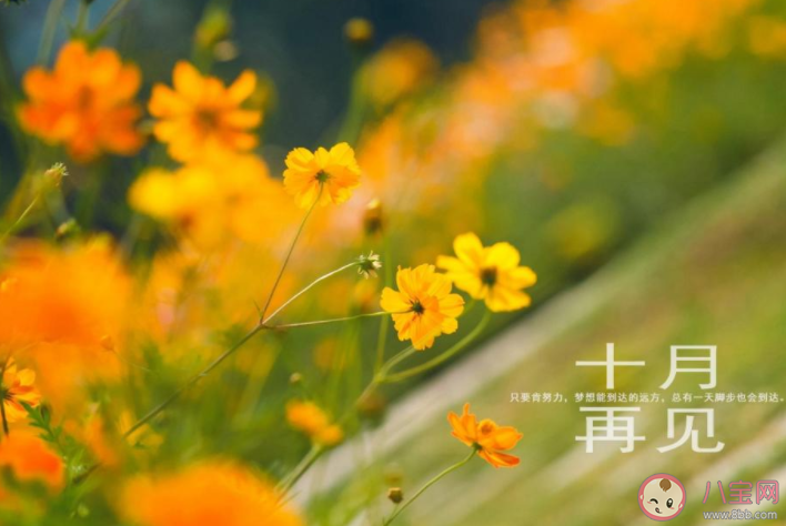 10月最后一天早安心語微信說說 10月最后一天早安的朋友圈句子