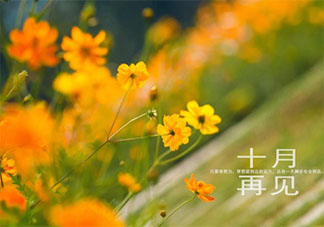 10月最后一天早安心語微信說說 10月最后一天早安的朋友圈句子