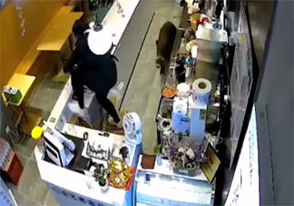 野豬竄進奶茶店嚇壞女店員是怎么回事 野豬會攻擊人類嗎