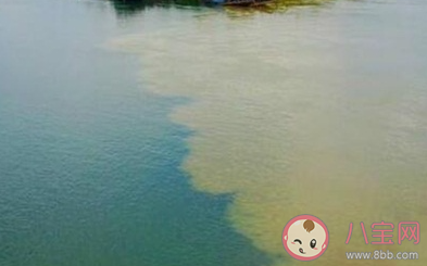 姜子牙曾在渭水上釣魚此處和涇渭分明所指的是同一條河流嗎 螞蟻莊園11月2日答案