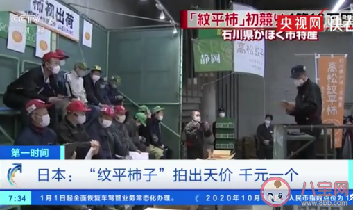 日本紋平柿子拍出天價(jià)是怎么回事 一箱6個(gè)柿子6395元是真的嗎