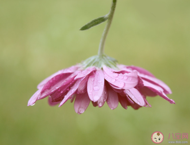 對生活看得特別特別透徹的朋友圈說說 看得很通透的心情感悟句子