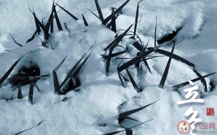 今日立冬了發(fā)個(gè)朋友圈配文2020 今日立冬朋友圈說(shuō)說(shuō)精選2020