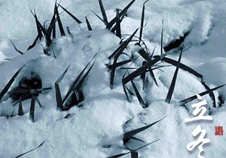 今日立冬了發個朋友圈配文2020 今日立冬朋友圈說說精選2020