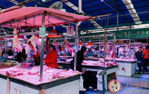 豬肉價格降兩成是真的嗎 豬肉價格為什么提高了