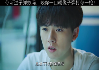 子彈蟻是什么螞蟻 子彈蟻咬人有多痛