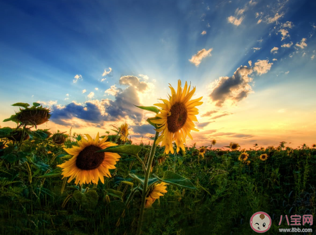 一個人缺乏安全感的朋友圈文案 極度缺乏安全感的傷感句子