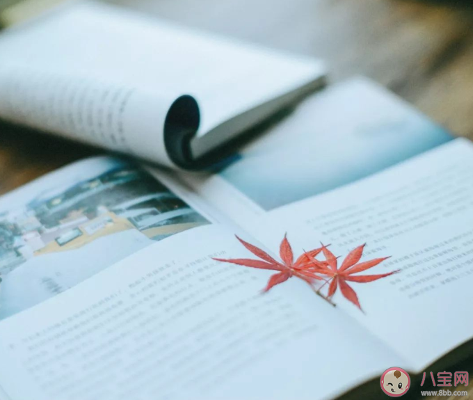 重新開始生活的心情說說 重新開始生活的心情句子