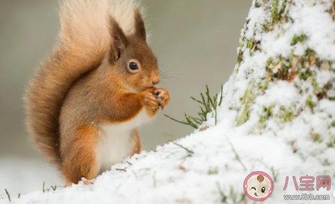 今日立冬的走心文案 立冬節氣的暖心句子