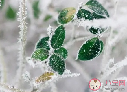 立冬節氣的幽默句子 今日立冬的搞笑說說