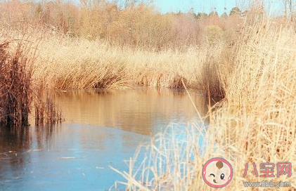 2020冬天你好朋友圈文案 冬天你好的說說句子