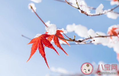 2020冬天你好的心情說說 冬天你好經典唯美句子