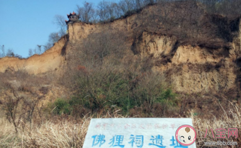 辛棄疾可堪回首佛貍祠下一片神鴉社鼓中的佛貍是指 最新螞蟻莊園11月8日答案