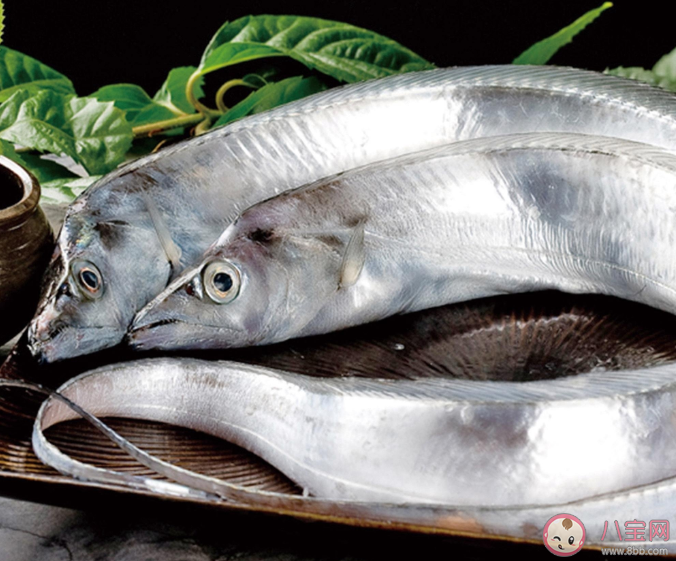 我們買不到活帶魚是因?yàn)楹t~到淡水中后會怎樣 螞蟻莊園小課堂11月9日今日答案最新 我們買不到活帶魚是因?yàn)楹t~到淡水中后會怎樣 螞蟻莊園小課堂11月9日今日答案最新