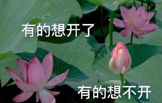 又到周一了的心情說說 又到周一幽默搞笑句子