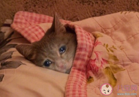 周日晚上是最焦慮時間段是真的嗎 你最焦慮的時間段是什么時候