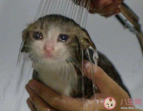 周日晚上是最焦慮時間段是真的嗎 你最焦慮的時間段是什么時候