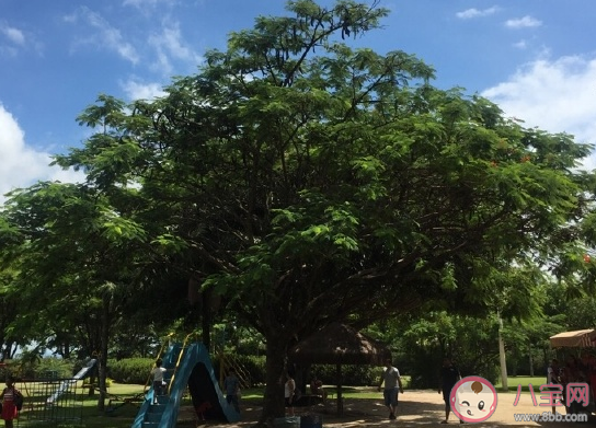  周一工作開始忙碌的說說 周一工作正能量語錄大全