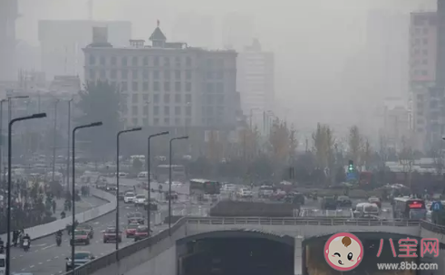 2萬(wàn)斤獼猴桃遭煤塵污染賣(mài)不出怎么回事 煤塵污染對(duì)人體有什么危害