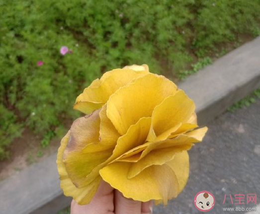 過去了就過去了感慨心情說說 看淡一切釋然的幽默短句大全