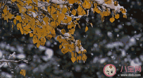 今年冬天來得晚的心情說說 今年冬天晚來了發朋友圈句子