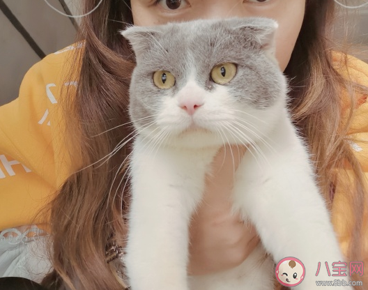 馬上過冬的朋友圈怎么發 迎接冬天朋友圈精美文案