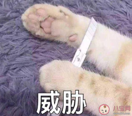 2020雙十一熬夜買東西的說說 雙十一熬夜購物心情句子 2020雙十一熬夜買東西的說說 雙十一熬夜購物心情句子