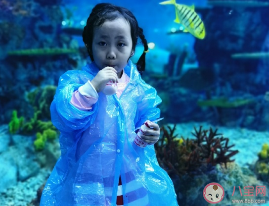帶孩子去海洋公園玩的朋友圈說說 陪孩子去海洋館親子感言句子