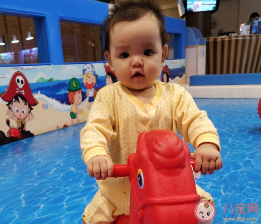 帶孩子去海洋公園玩的朋友圈說說 陪孩子去海洋館親子感言句子