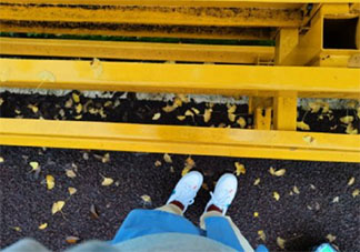 今年冬天來得晚的心情說說 今年冬天晚來了發朋友圈句子