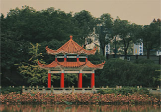 秋已盡冬又來的朋友圈唯美文案 秋已盡冬來臨的幽默說說句子