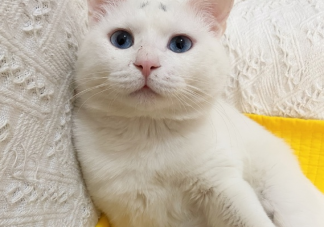 又到周一了的心情說說 又到周一幽默搞笑句子